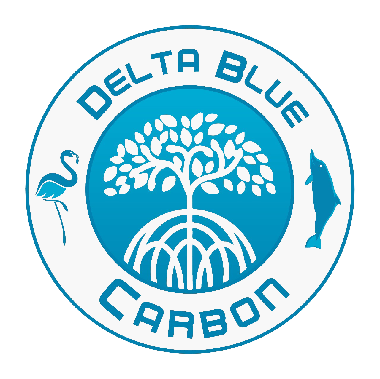 Delta Blue Carbon - Mangrove Restoration In Sindh