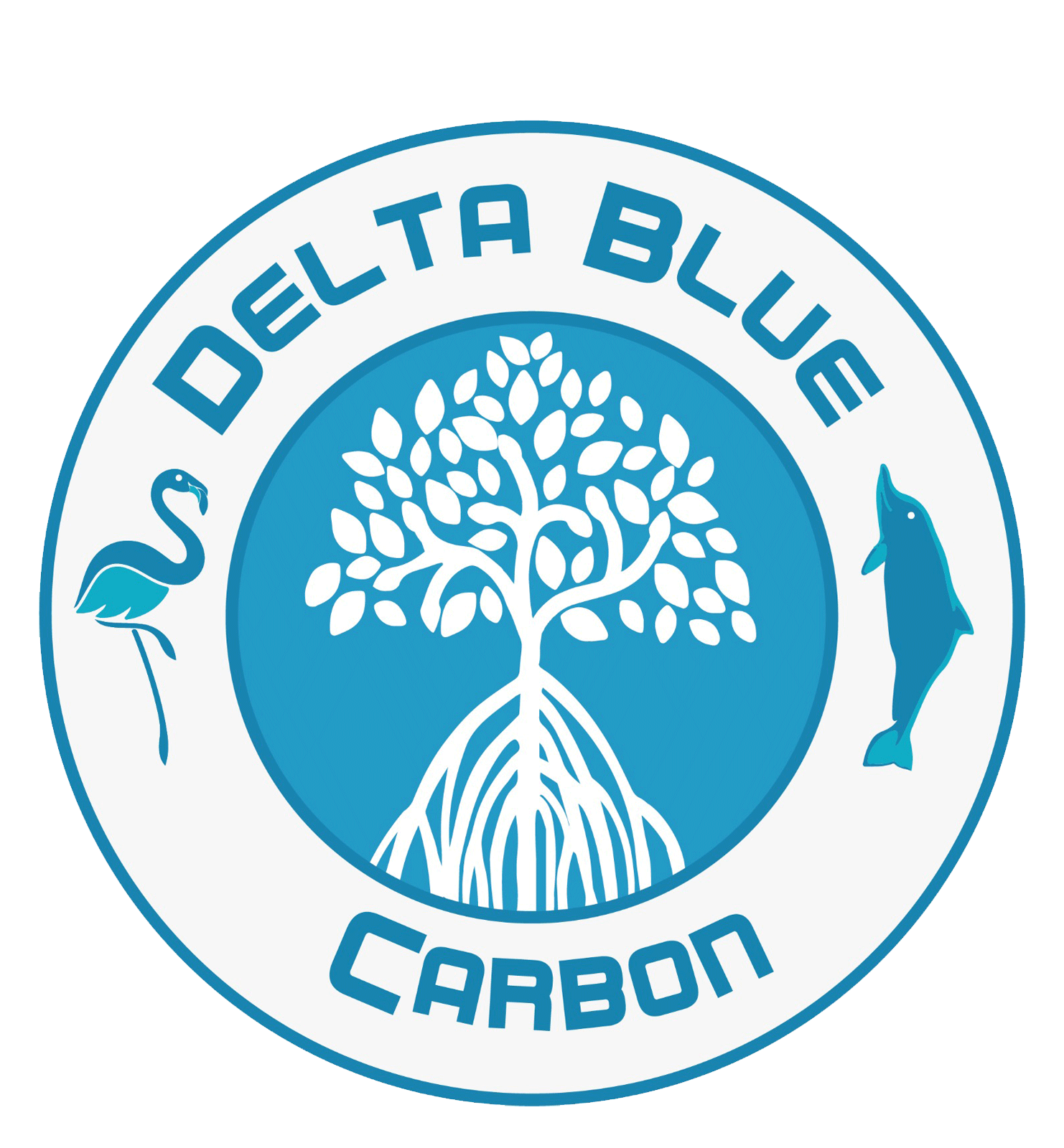 Delta Blue Carbon – Mangrove Restoration In Sindh – Delta Blue Carbon –  Mangrove Restoration In Sindh