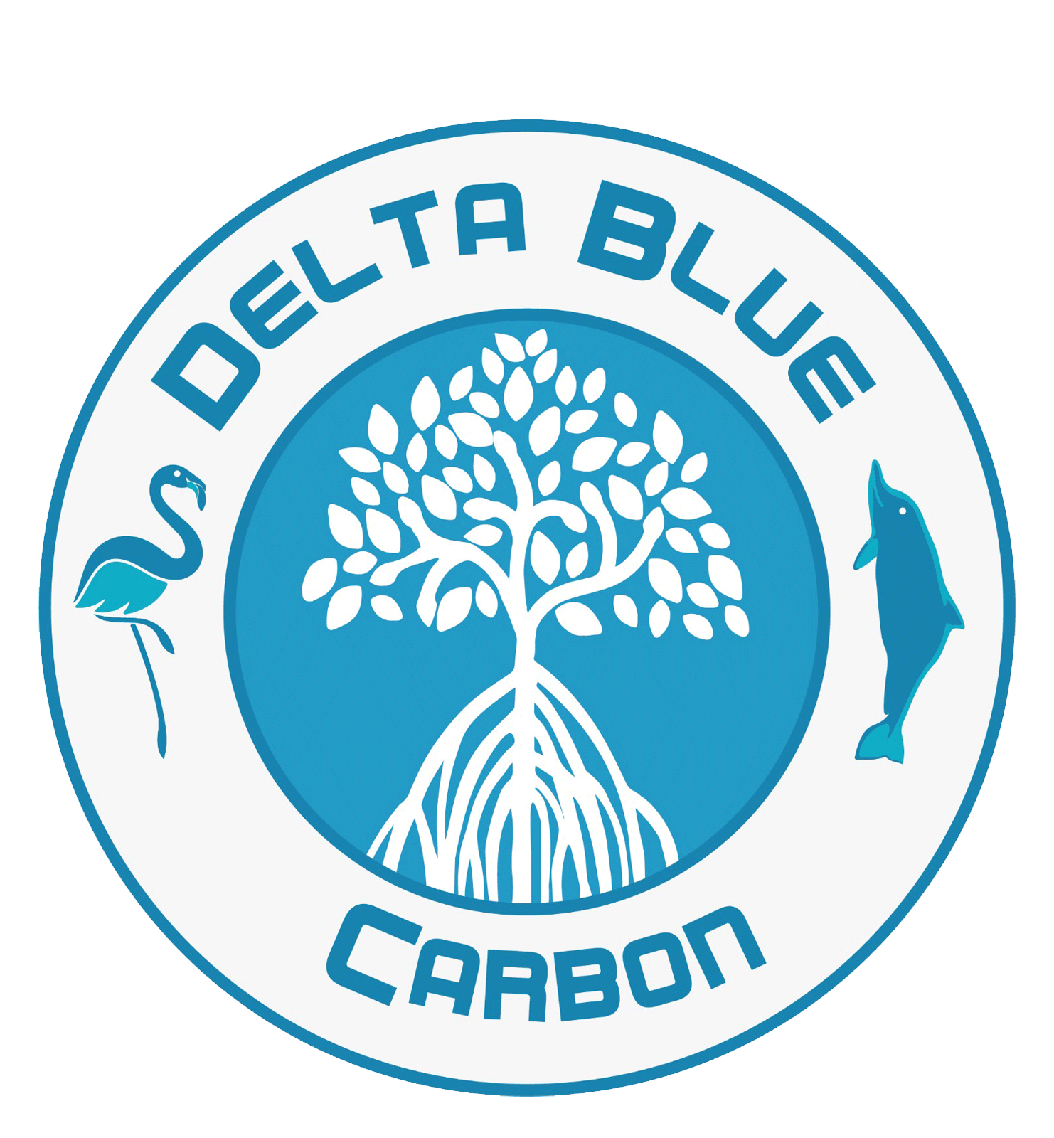 4 Delta Blue Carbon Mangrove Restoration In Sindh