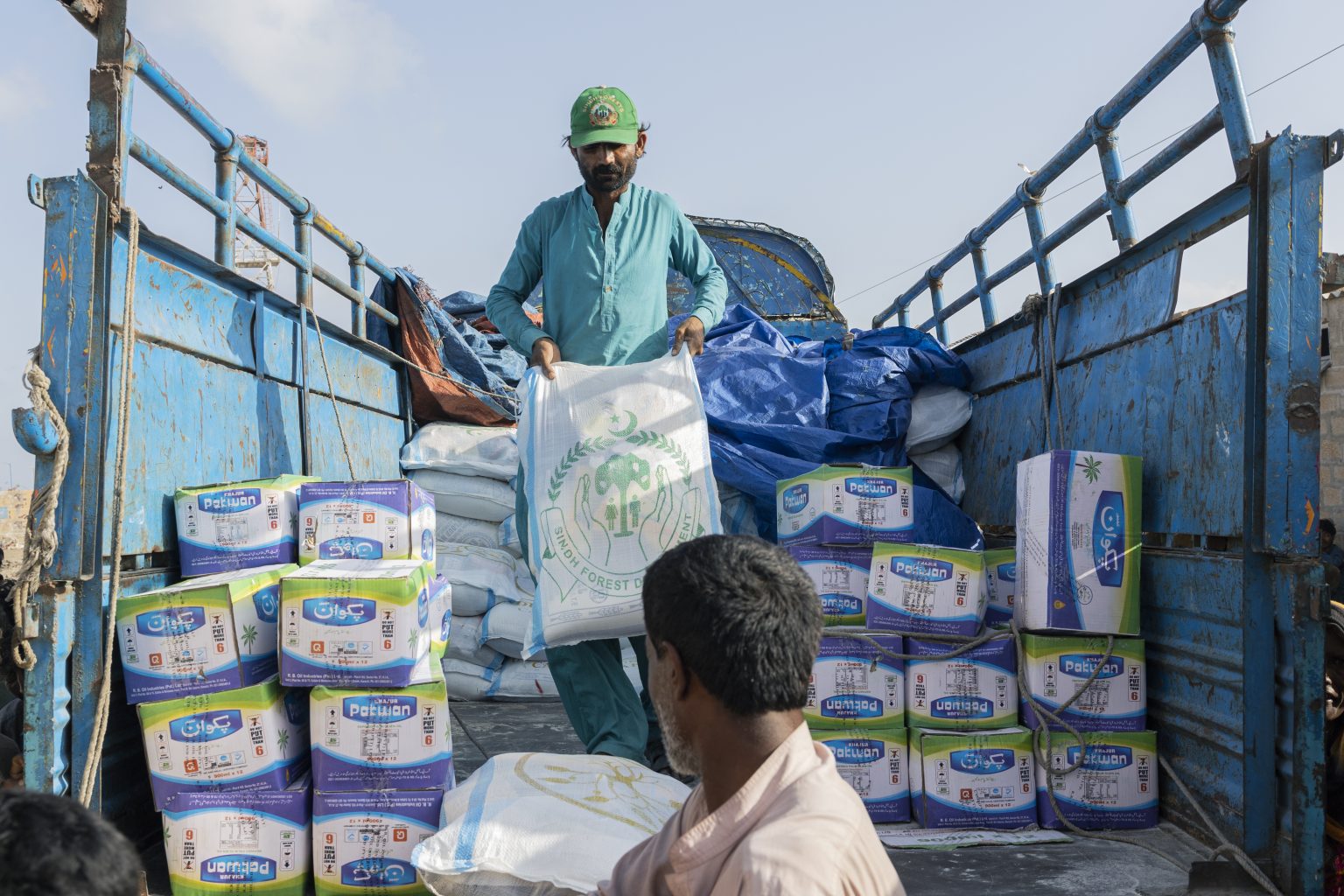 Delta Blue Carbon – Mangrove Restoration In Sindh – Delta Blue Carbon ...