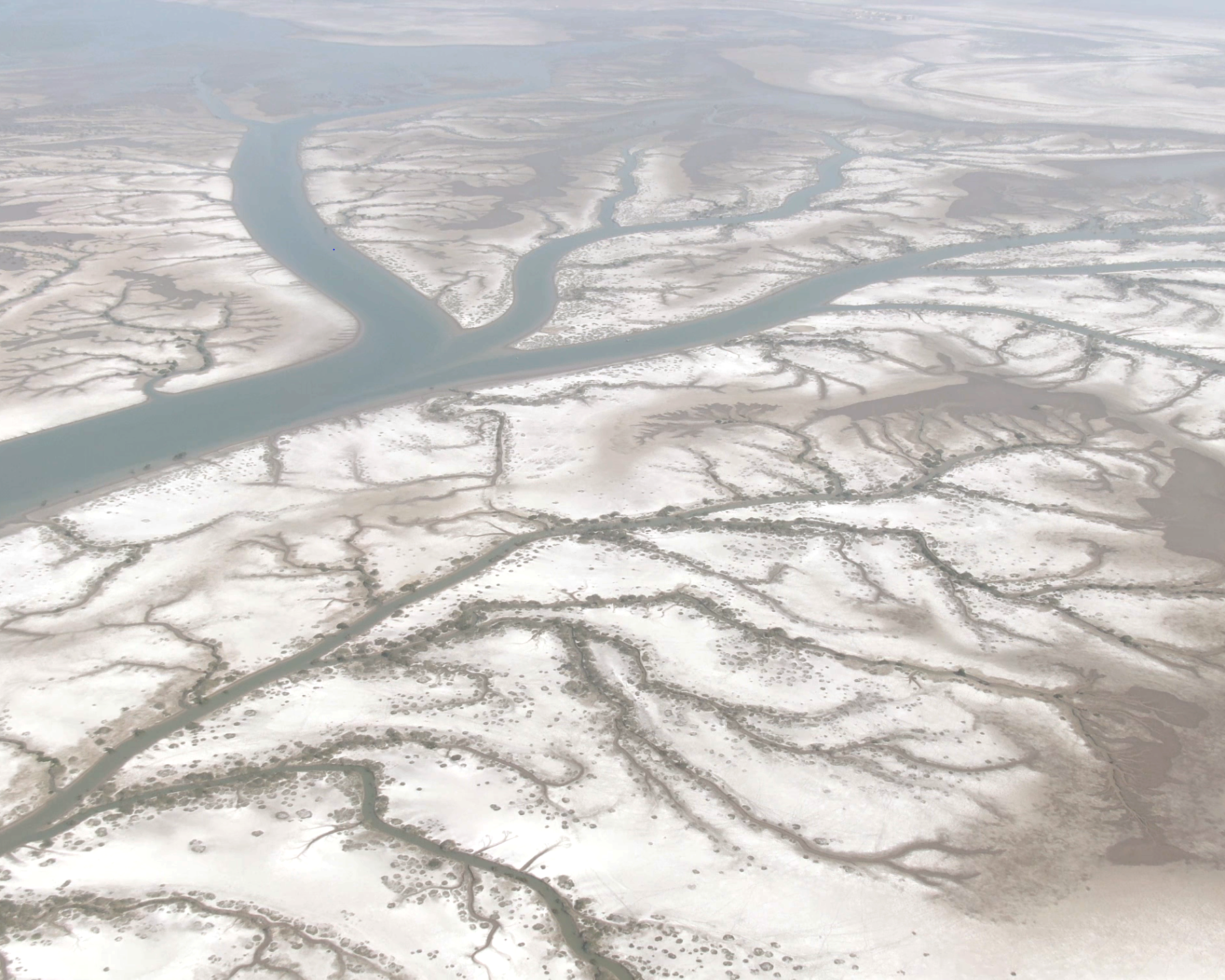 Aerial view of the Indus delta