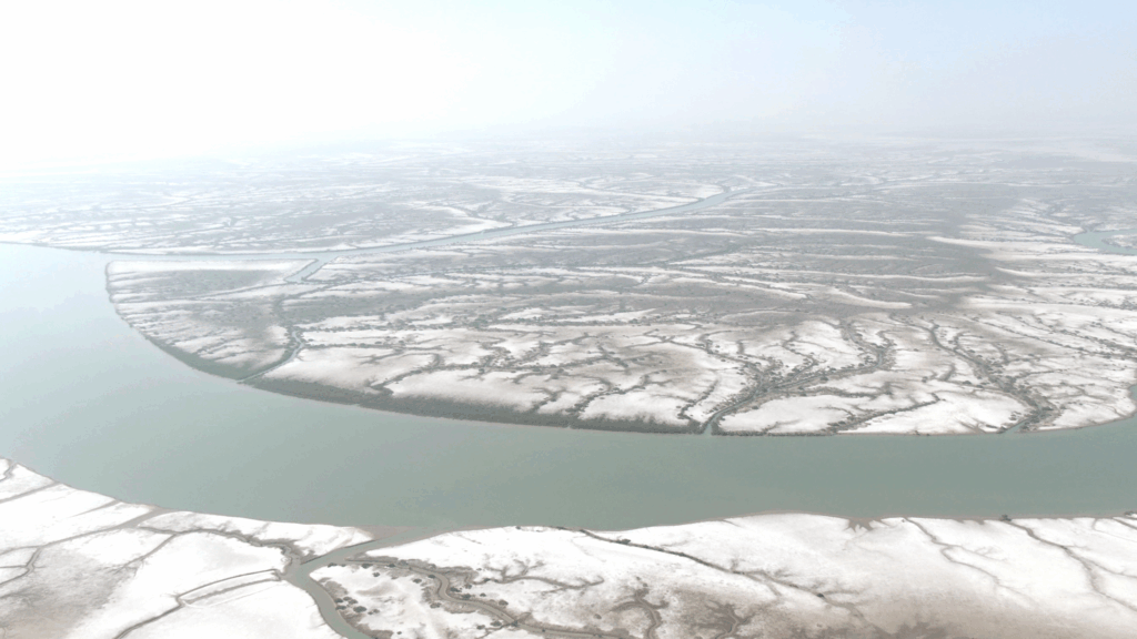 Aerial view of the Indus delta