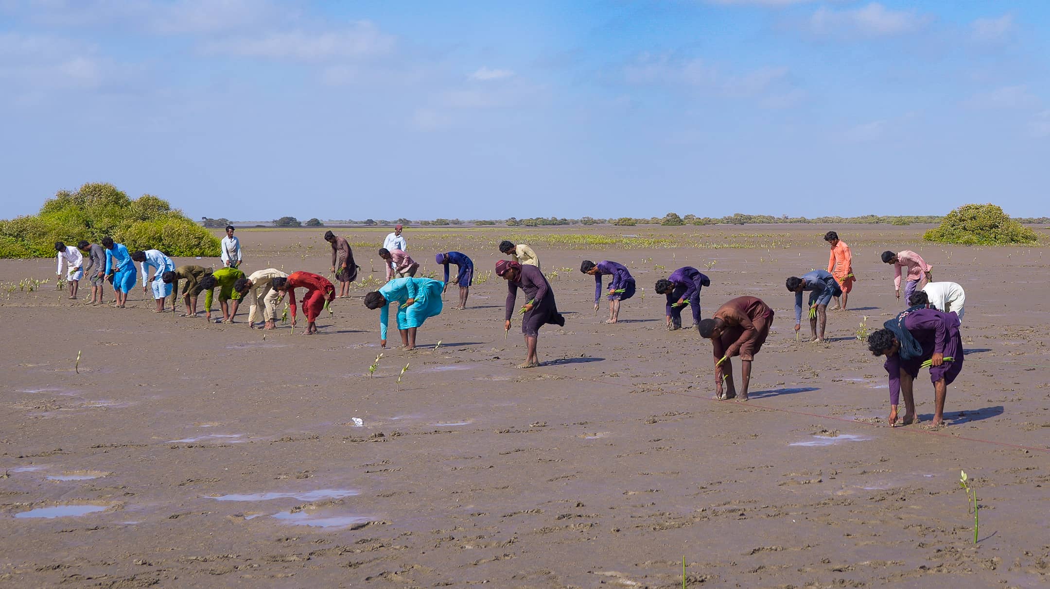 Habitat Restoration and Protection